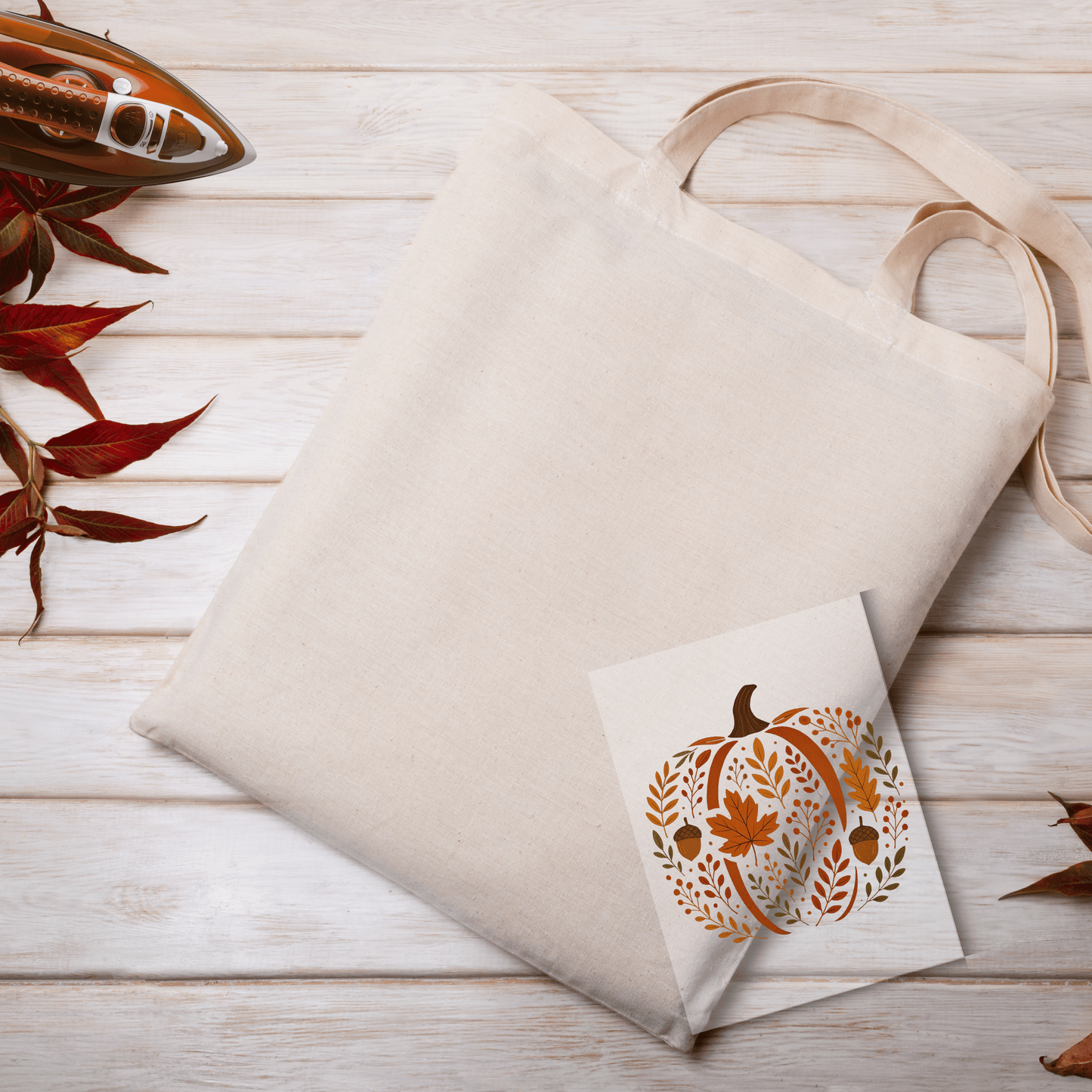 Autumn Vibes أجواء الخريف 4
