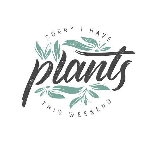 Botanical vibes  5  أجواء بوتانيكال