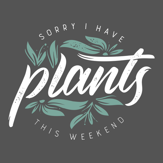 Botanical vibes  3  أجواء بوتانيكال