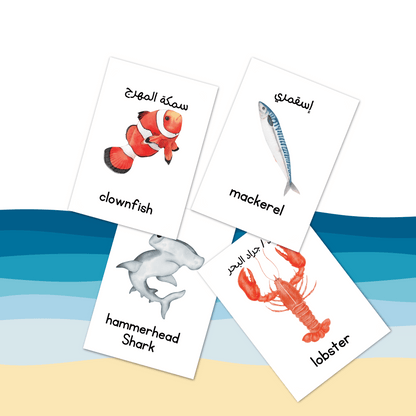 Sea Creatures Flash Cards بطاقات تعليمية للكائنات البحرية