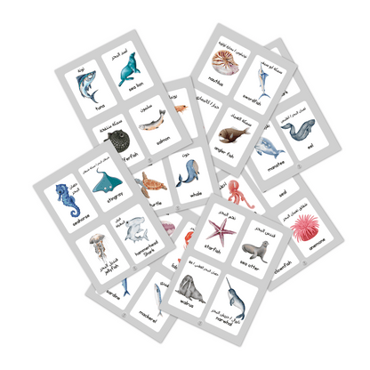 Sea Creatures Flash Cards بطاقات تعليمية للكائنات البحرية